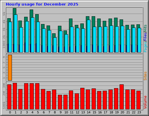 Hourly usage for December 2025